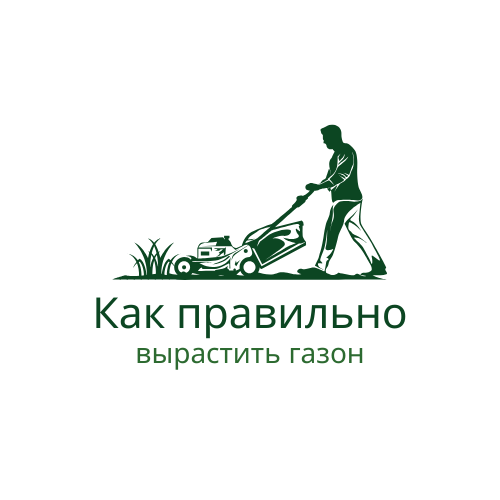 Как правильно вырастить газон 